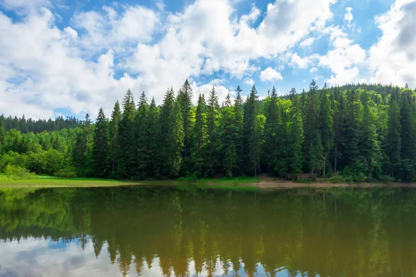 Scenery Lake Mountains Spruce Forest Shore Reflection Water Sunny Weather — Stock Photo, Image