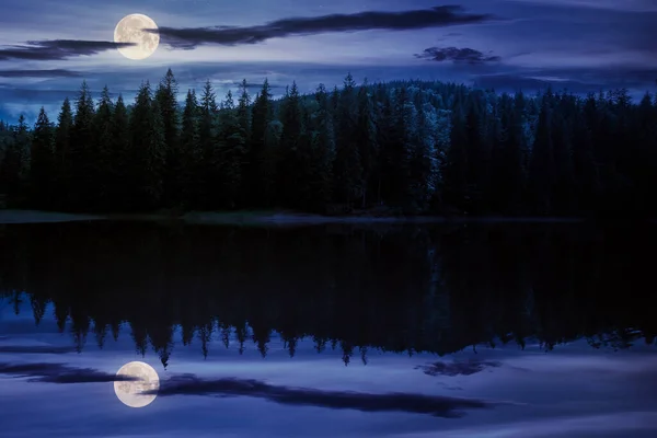 Paisaje Alrededor Del Lago Las Montañas Por Noche Bosque Abetos — Foto de Stock