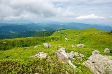 Yamaçtaki kayalar. Bulutlu bir günde Karpatlar üzerinde yaz dağı manzarası