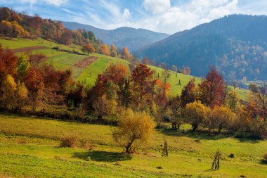 Dağlarda kırsal sonbahar manzarası. Sonbahar yapraklarında ağaçlar. Gökyüzünde bulutlar olan güneşli bir hava.