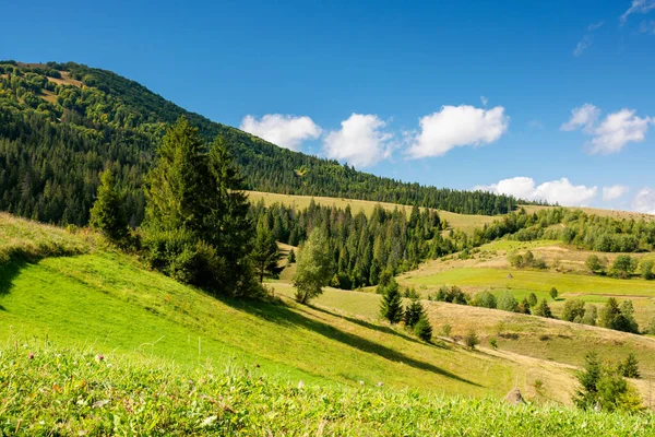 Ländliche Felder Einem Sonnigen Herbsttag Bäume Auf Den Grünen Hügeln — Stockfoto