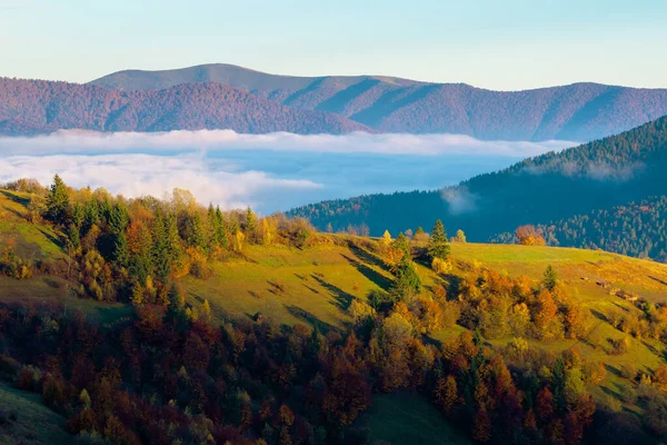 Cloud Inversion Mountains Carpathian Autumn Landscape Hills Fall Colors Morning — Stock Photo, Image