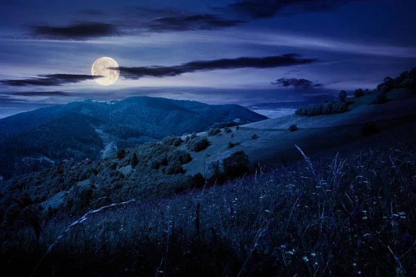 夏夜山中的风景 迷人的风景 在满月的月光下翻滚的山丘上 田野里长着香草 蓝天上的云彩在远处的山脊之上 — 图库照片