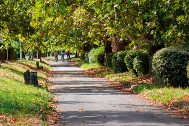 Sonbaharın başında park yeri. Yeşil yapraklı ağaçlar. güneşli hava