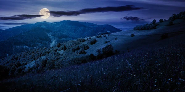 Καλοκαιρινό Τοπίο Στα Βουνά Νύχτα Καταπληκτικό Τοπίο Βότανα Τομείς Για — Φωτογραφία Αρχείου