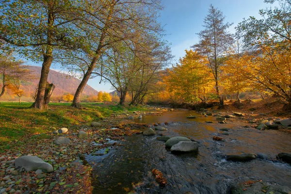 Mountain River Forest Autumn Sunny Morning Landscape Rocks Water Stream — Stock Photo, Image