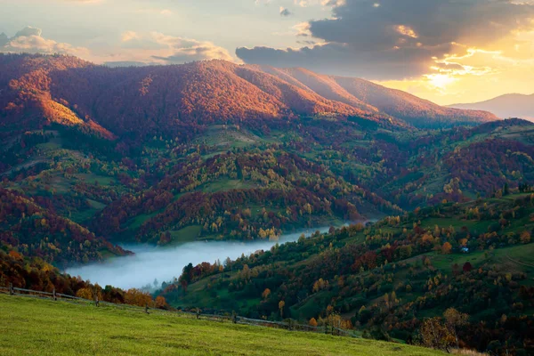 秋の山の霧の朝 秋色の田園風景 丘の中腹にカラフルな木 日の出の雲の下の風景 — ストック写真