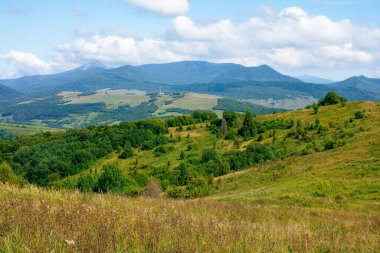 Eylül 'de Karpatya kırsalında. Güneşli bir günde dağ manzarası. Çayırdaki ağaçlar. Kabarık bulutlu gökyüzü