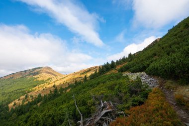 Dağın zirvesi strymba. Sonbaharda Karpatya manzarası. Yokuş yukarı. Renkli bir manzara. Gökyüzündeki bulutlar. güneşli hava.