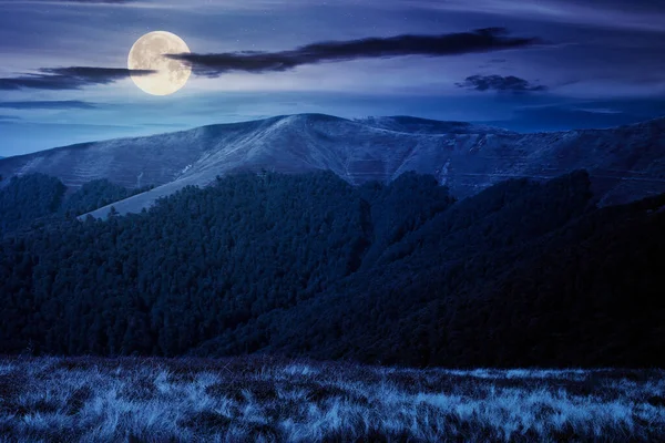 夜の山の風景 満月の光の中で乾いた草の上の木 遠くの尾根だ 丘の上のブナ林 空の雲 — ストック写真