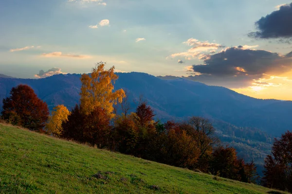 Paysage Rural Automnal Crépuscule Belle Campagne Montagne Arbres Dans Feuillage — Photo