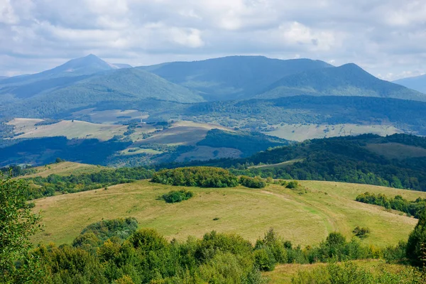 Eylül Karpatya Kırsalında Güneşli Bir Günde Dağ Manzarası Çayırdaki Ağaçlar — Stok fotoğraf