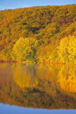 Ormanın içindeki dağ gölü. Rengarenk ağaçlar, Güneşli bir sonbahar sabahında güzel bir manzara. Mavi gökyüzü suya yansıyor.