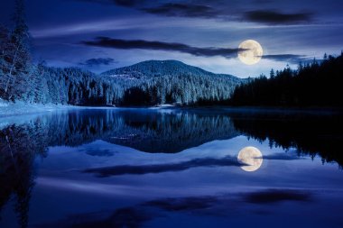 Gece ormanların arasında dağ gölü. Rengarenk ağaçlar, Dolunay ışığında güzel bir manzara. Bulutlar ve gökyüzü suya yansıyor
