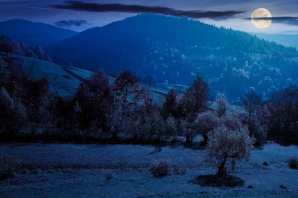 Cenário Outono Rural Montanhas Noite Árvores Folhagem Outono Belo Tempo — Fotografia de Stock