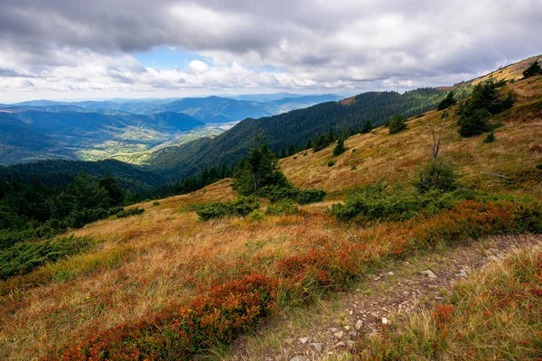 Sonbaharda dağ manzarası. Tepenin tepesinden uzaktaki vadiye güzel bir manzara. Öğlen vakti bulutlu bir gün