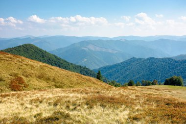Güneşli bir sonbahar gününde dağ çayırı. Tepedeki kuru otlar. Dağ sırası ufka doğru ilerliyor. Mavi gökyüzünde öğleden sonra kabarık bulutlar