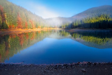 Ormanın içindeki dağ gölü. Rengarenk ağaçlar, Güneşli bir sonbahar sabahında güzel bir manzara. Mavi gökyüzü suya yansıyor.