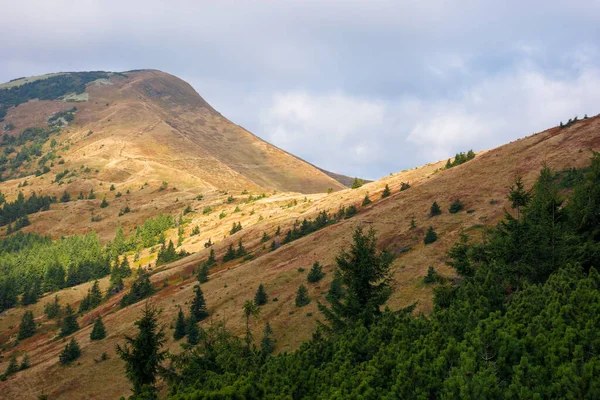 Pico Strymba Montaña Paisaje Carpático Otoño Camino Cuesta Arriba Colorido — Foto de Stock