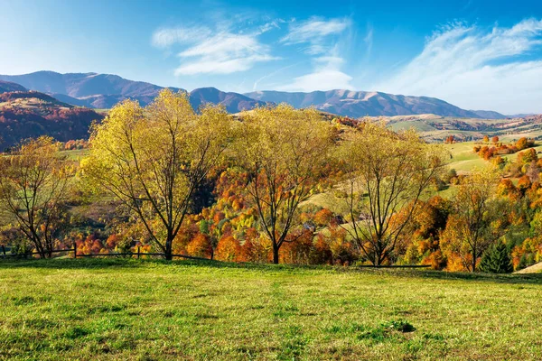 Paisaje Montañoso Día Soleado Hermoso Paisaje Rural Temporada Otoño Árboles —  Fotos de Stock