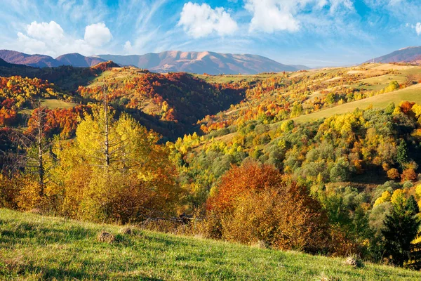 Гірські Сільські Пейзажі Сонячний День Красивий Сільський Пейзаж Осінній Сезон — стокове фото