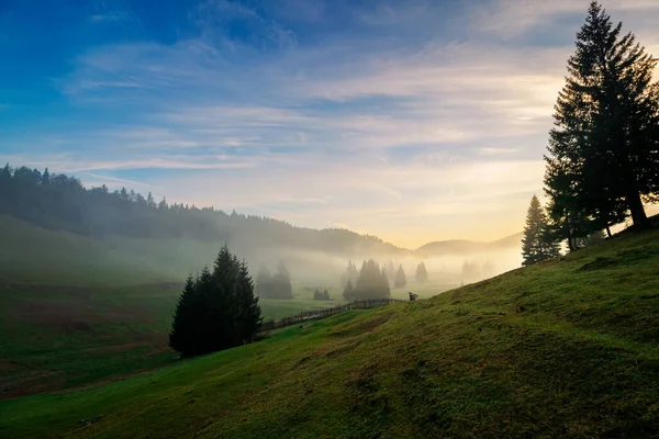 Morgennebel Naturpark Von Apuseni Tal Voller Nebel Morgengrauen Schöne Landschaft — Stockfoto
