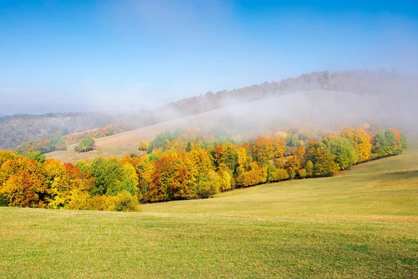 Sabah sisinde sonbahar manzarası. Çimenli tepelerde renkli ormanları olan güzel bir manzara. güneşli hava