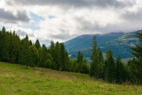 Sparrenbos Het Weitje Bergen Herfstweer Met Wolken Aan Hemel Prachtig — Stockfoto