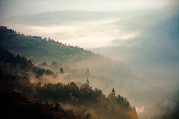 Neblige Berglandschaft Bei Sonnenaufgang Schöne Herbstkulisse Tal Nebel Morgenlicht — Stockfoto