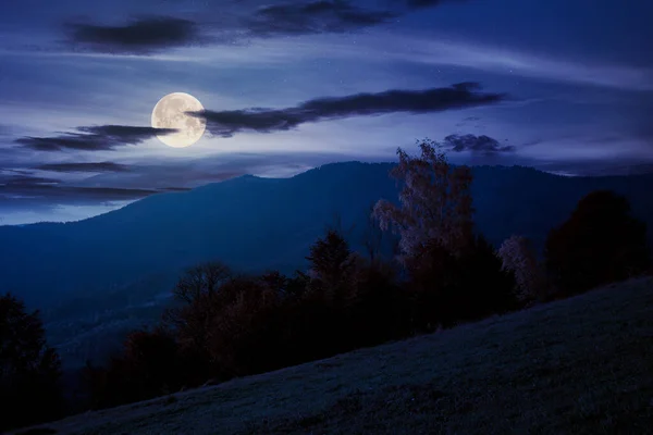 秋天的乡村夜景 山中美丽的乡村 秋天树叶丛生的树 生长在绿色的山岗上 远处山脊上的戏剧性云彩 — 图库照片