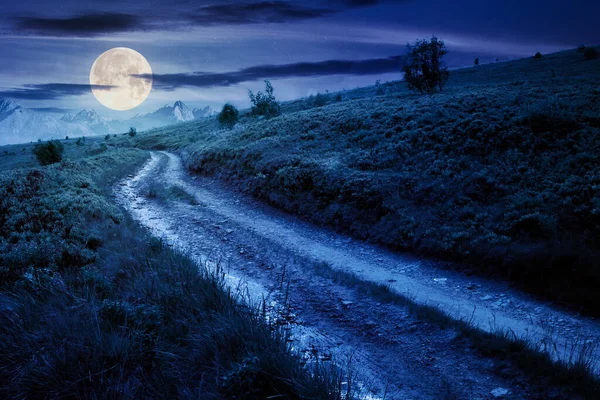 Mountain Road Grassy Meadow Night Wonderful Summer Adventure Full Moon — Stock Photo, Image