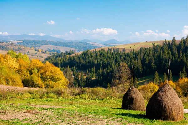Sonbaharda Karpat dağlarının kırsal manzarası. Sarı yapraklı ağaçlar. Güzel güneşli hava