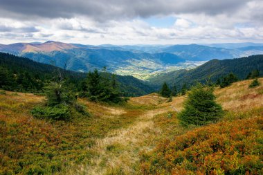 Sonbaharda dağ manzarası. Tepenin tepesinden uzaktaki vadiye güzel bir manzara. Öğlen vakti bulutlu bir gün