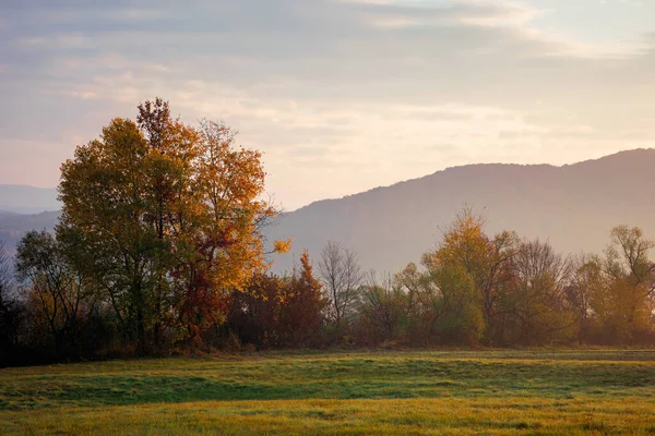 Nebliger Morgen Bergiger Landschaft Ländliche Landschaft Herbstlichen Farben Bäume Auf — Stockfoto