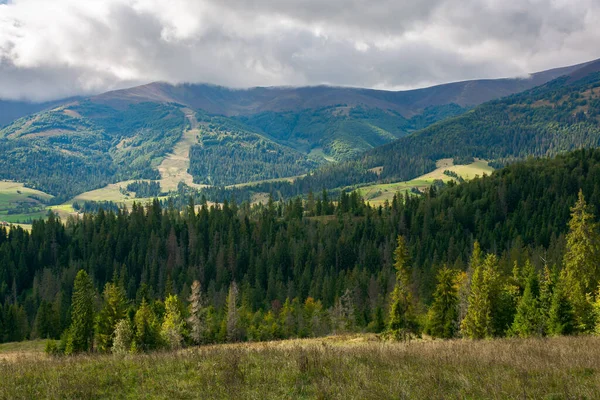 Bosque Abetos Prado Las Montañas Clima Otoñal Con Nubes Cielo — Foto de Stock