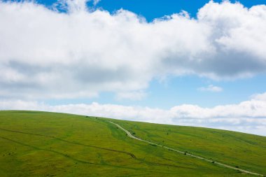 Yazın Karpatlar 'ı gezmek. Uzakta yeşil çimenli çayırlarda yol var. Mavi gökyüzünde bulutları olan cennet manzarası.