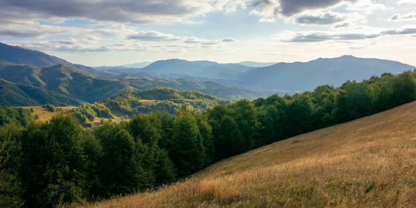 Bergiga Landsbygden Eftermiddagen Karpaternas Vackra Landskap Dal Borzhava Fjärran Moln — Stockfoto