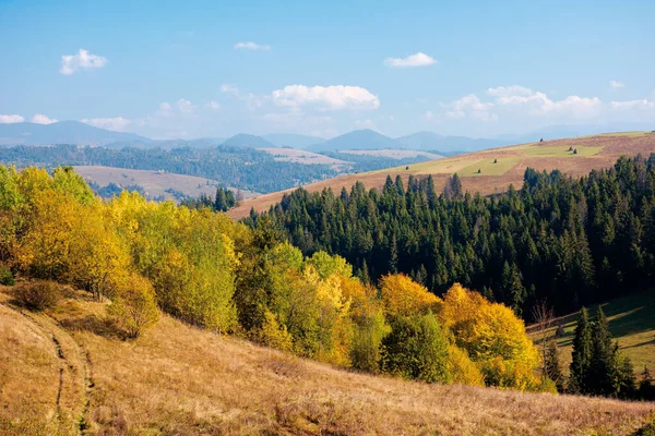 Paisagem Rural Montanhas Carpáticas Outono Árvores Folhagem Amarela Belo Tempo — Fotografia de Stock