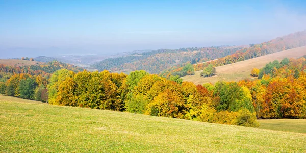 Herfst Landschap Ochtend Mist Prachtig Landschap Met Kleurrijk Bos Grazige — Stockfoto