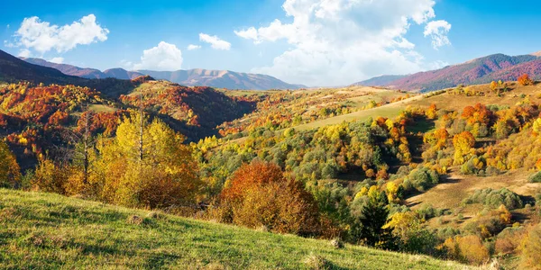 Güneşli Bir Günde Dağlık Kırsal Bir Manzara Sonbahar Mevsiminde Güzel — Stok fotoğraf