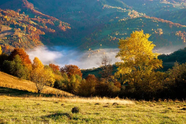 Mlhavé Ráno Podzimních Horách Krajina Scenérie Podzimních Barvách Barevné Stromy — Stock fotografie