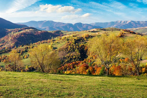 多山的乡村风景 阳光灿烂的日子 秋天美丽的乡村风景 秋天颜色的树 明亮的蓝天和蓬松的云彩 — 图库照片