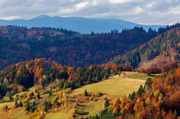 Górski Krajobraz Wiejski Jesienią Piękne Krajobrazy Zalesionymi Wzgórzami Jesiennych Kolorach — Zdjęcie stockowe