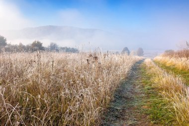 Sabah sisinde boş kırsal alanlar. Sonbaharda kırsal manzara. 