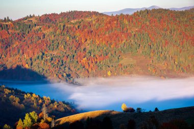 Dağlarda sabah kırsal manzarası. Sonbahar mevsiminde güzel bir kır manzarası. Sis dolu uzak bir vadi. Parlak güneşli bir sabah