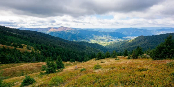 Beautiful Autumn Landscape Hillside Mountain Range Coniferous Forest Meadow — Stock Photo, Image