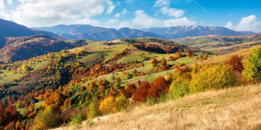 Güneşli bir günde güzel bir dağ manzarası. Sonbahar mevsiminde harika bir kır manzarası. Kırsal alanlar ve ağaçlar uzak tepelerde renkli yapraklar içinde.