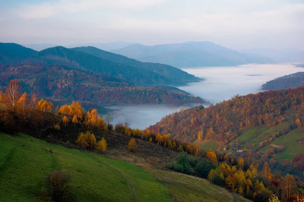 Karpat Dağlarında Sisli Bir Sonbahar Sabahı Sis Dolu Bir Vadi — Stok fotoğraf