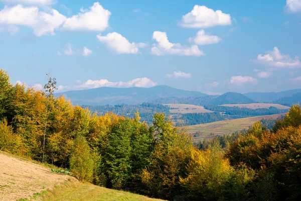 Paisaje Rural Las Montañas Los Cárpatos Otoño Árboles Follaje Amarillo —  Fotos de Stock