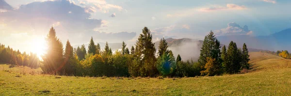 Nebuloso Panorama Paisagem Outono Pôr Sol Árvores Abeto Prado Luz — Fotografia de Stock